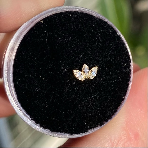 Anatometal Marquise Fan Threadless-end - Picture 6 of 11